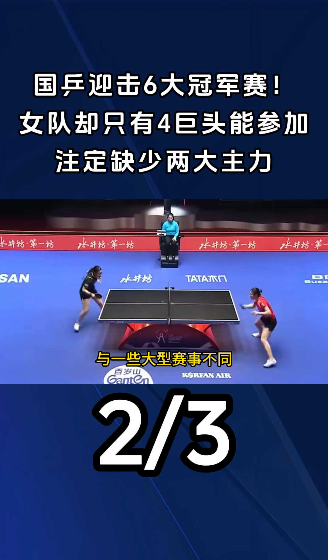 国乒轻松击败海港晋级半决赛，竞技爆发！！的简单介绍